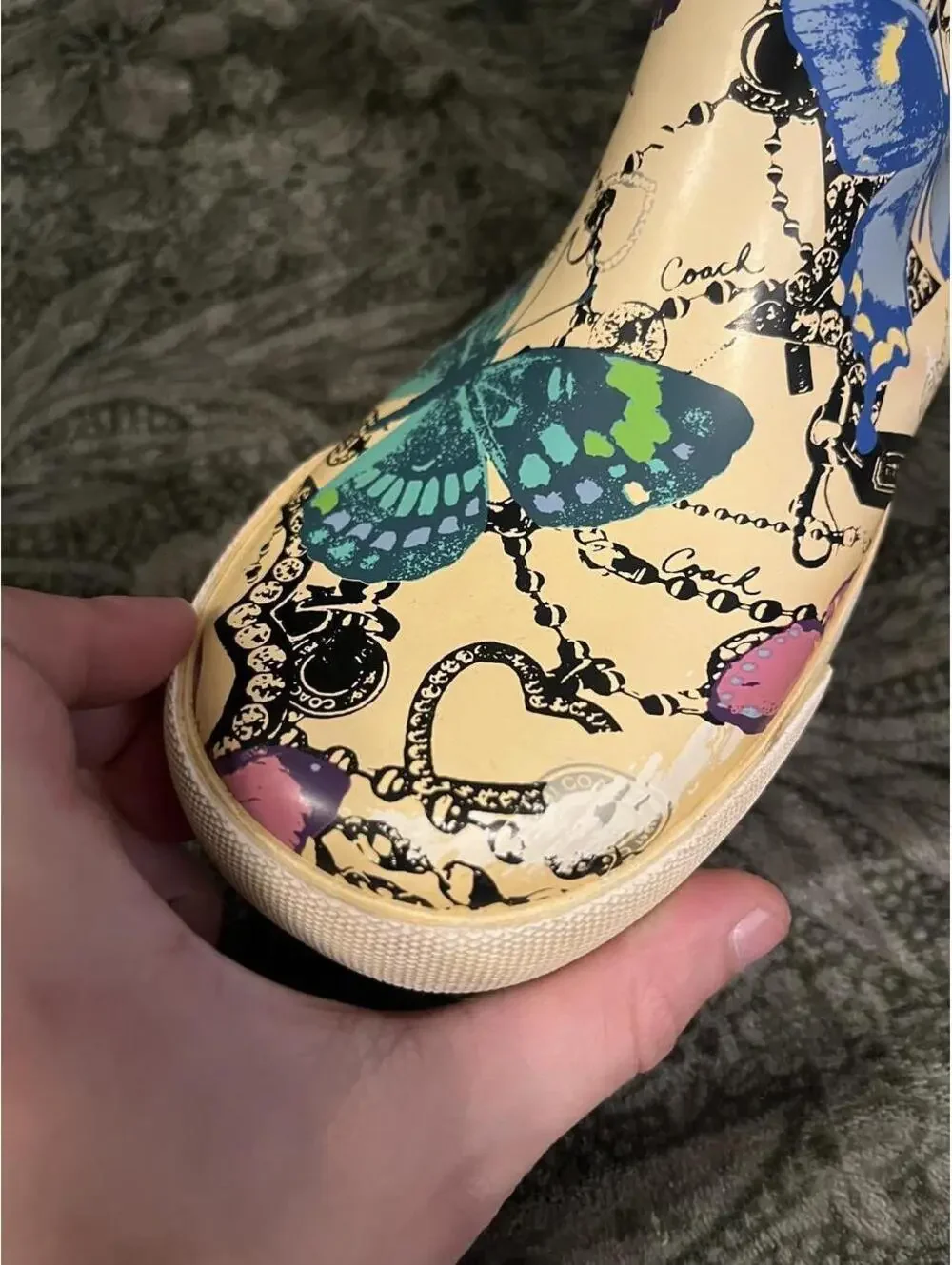 Coach butterfly rain
